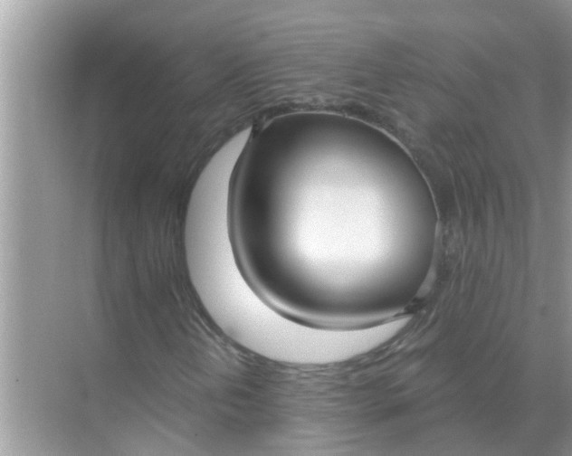 X0000070861202200606302037