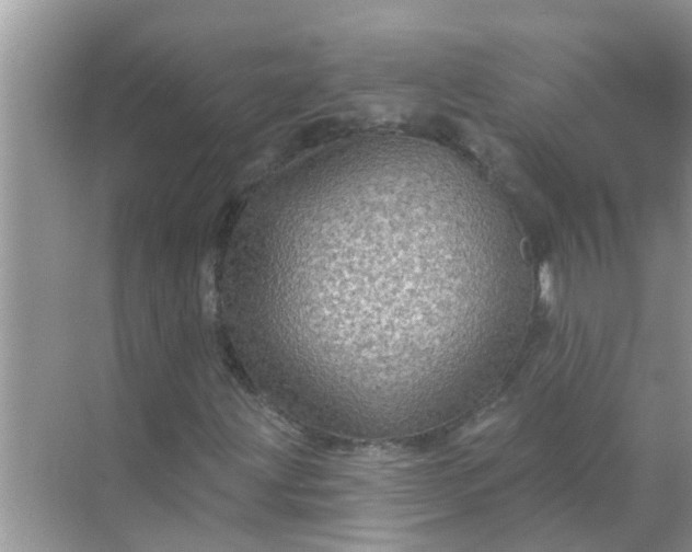 X0000070861203200606302037