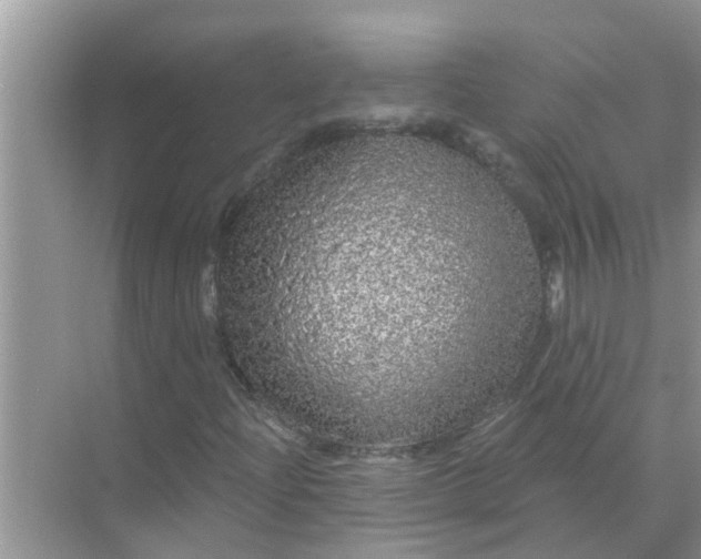 X0000070861204200606302037