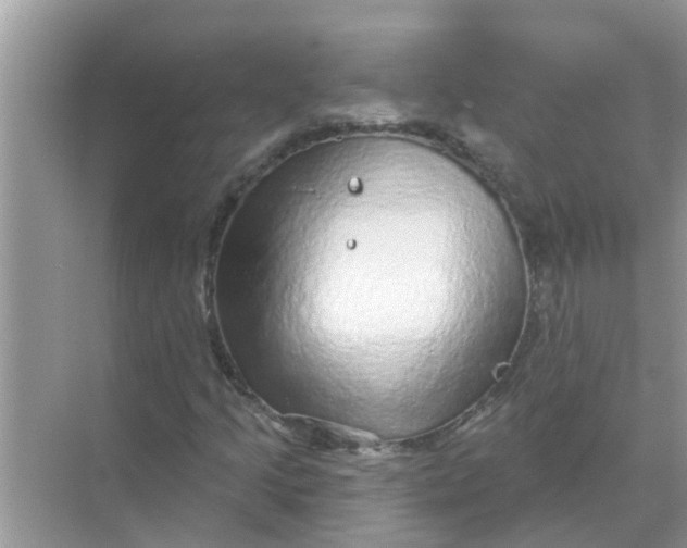 X0000070861205200606302037