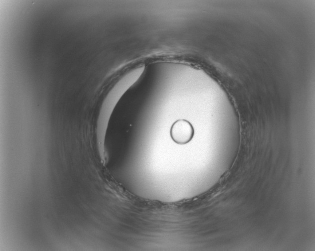 X0000070861206200606302037