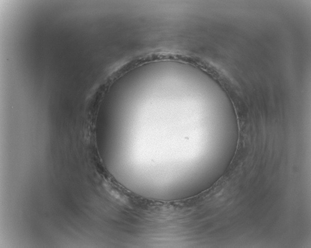 X0000070861207200606302037