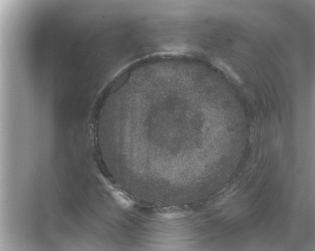 X0000070861208200606302037