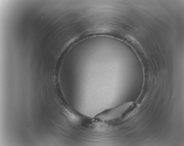 X0000070861210200606302037