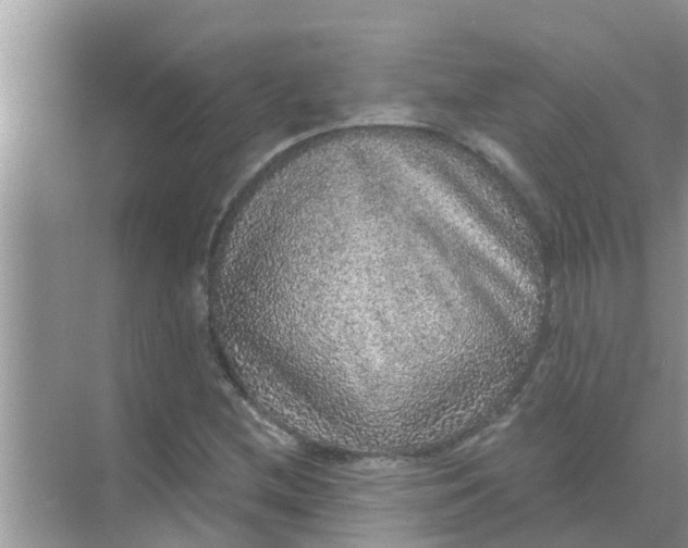 X0000070861212200606302037