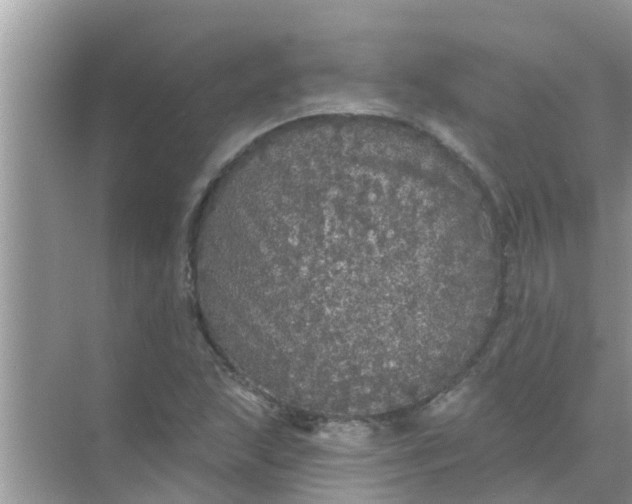 X0000070861215200606302037