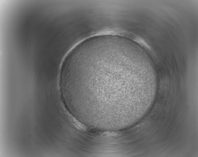 X0000070861216200606302037