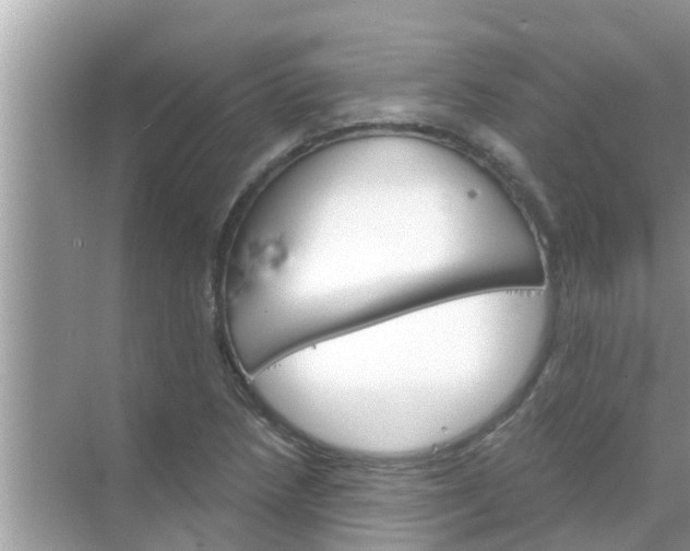 X0000070861218200606302037