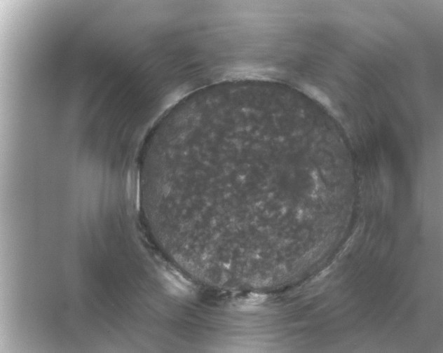 X0000070861219200606302037