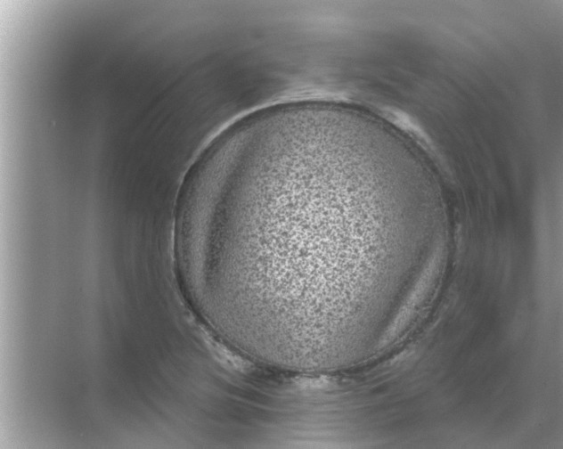 X0000070861220200606302037