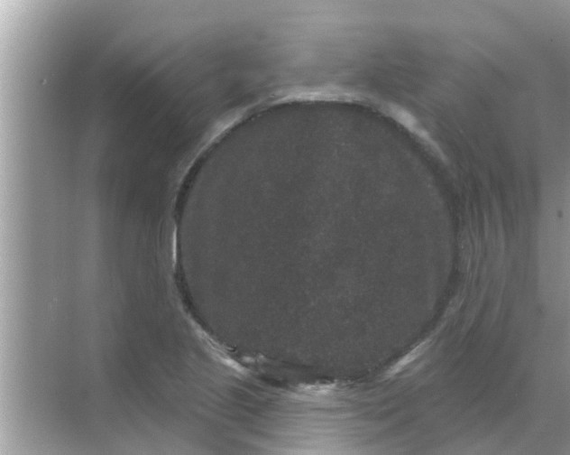 X0000070861221200606302037