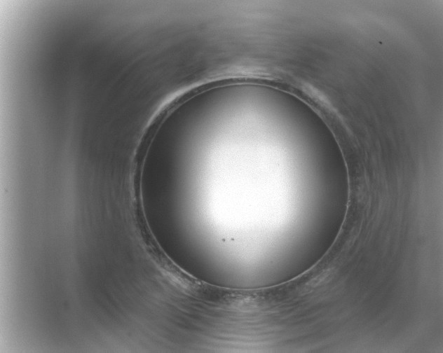 X0000070861222200606302037