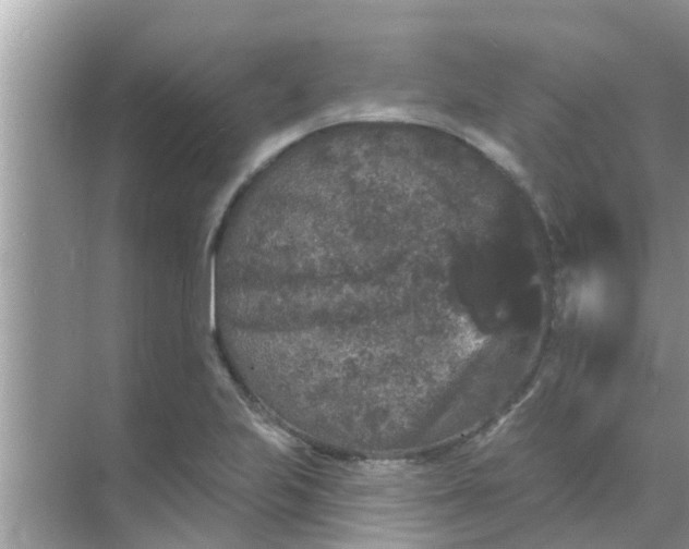 X0000070861223200606302037