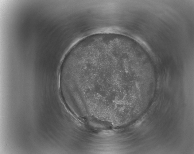 X0000070861224200606302037