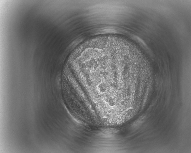 X0000070861225200606302037