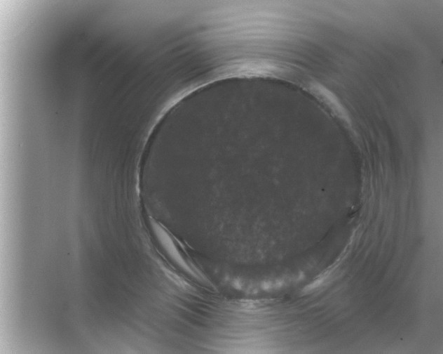 X0000070861226200606302037