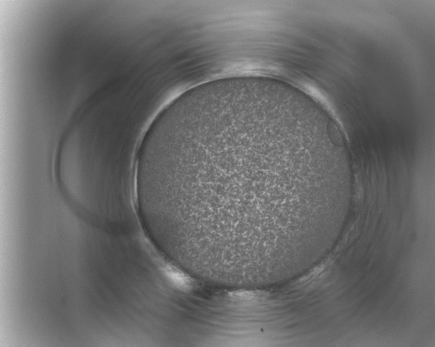 X0000070861227200606302037