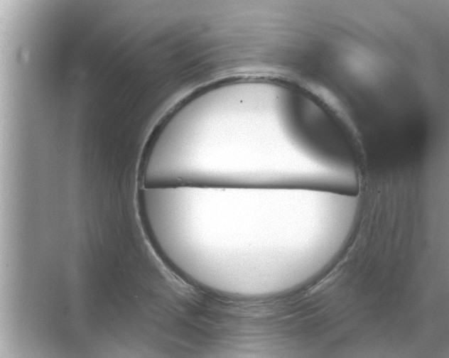 X0000070861229200606302037