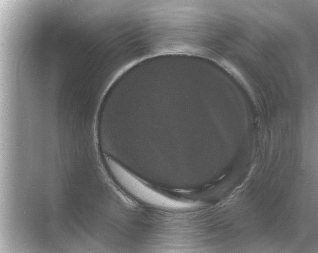 X0000070861230200606302037