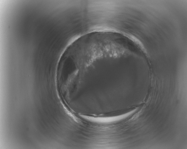 X0000070861231200606302037