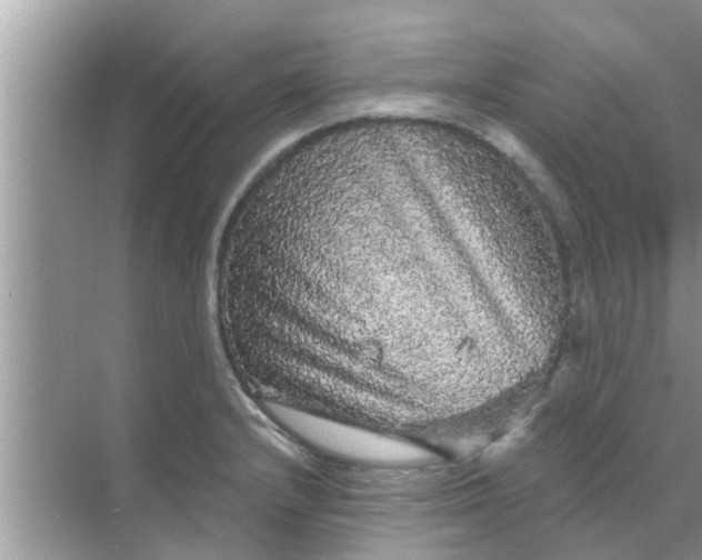 X0000070861232200606302037