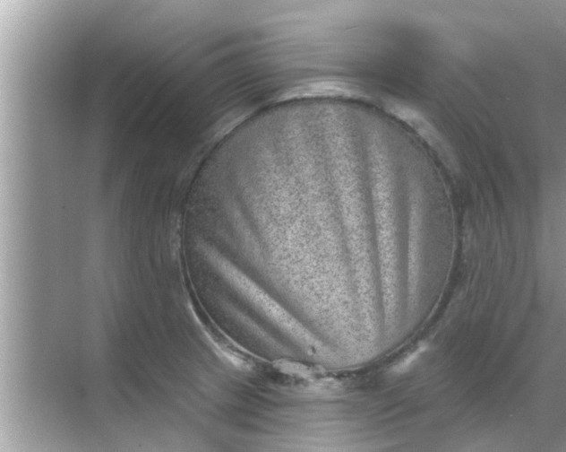 X0000070861233200606302037