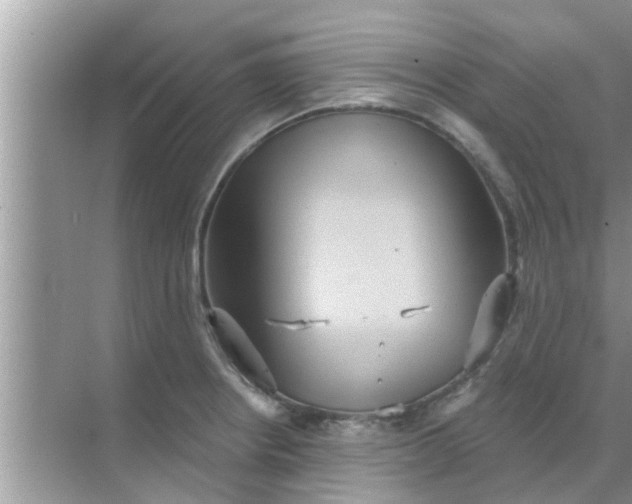 X0000070861234200606302037