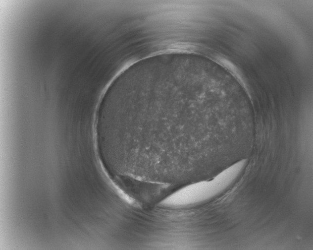 X0000070861235200606302037