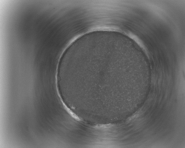 X0000070861237200606302037