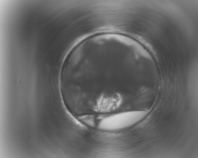 X0000070861239200606302037