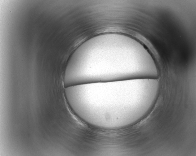 X0000070861241200606302037