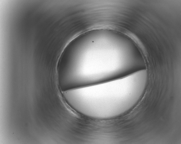 X0000070861242200606302037