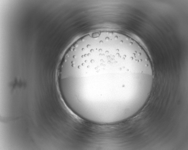 X0000070861243200606302037