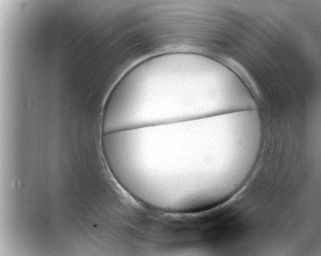 X0000070861244200606302038