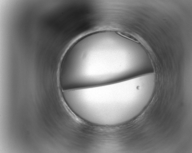 X0000070861246200606302038