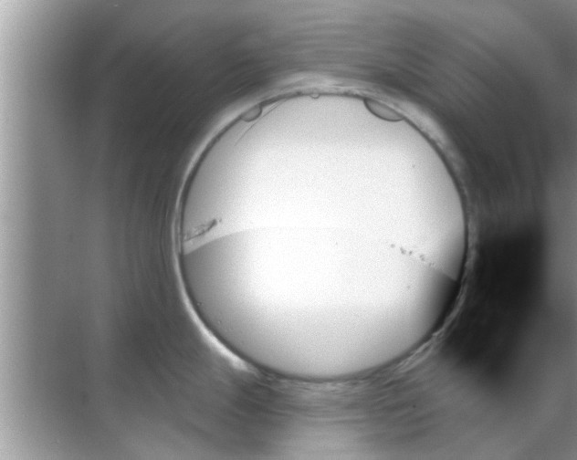 X0000070861247200606302038