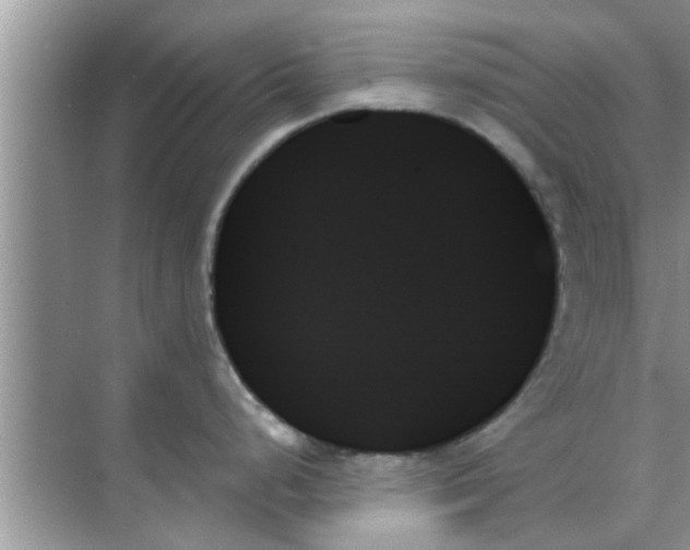 X0000070861248200606302038