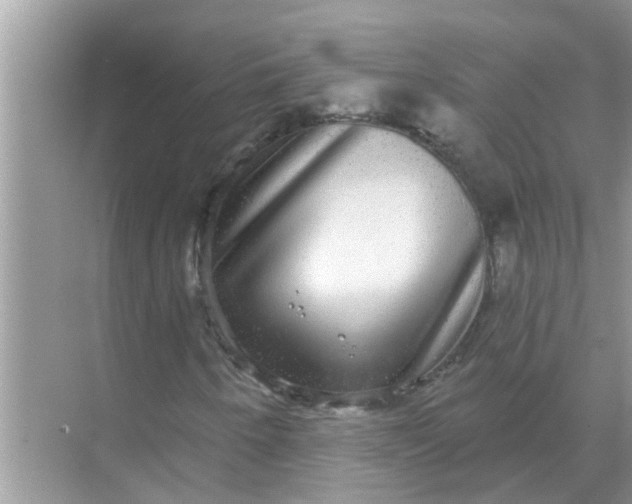 X0000070861250200606302037