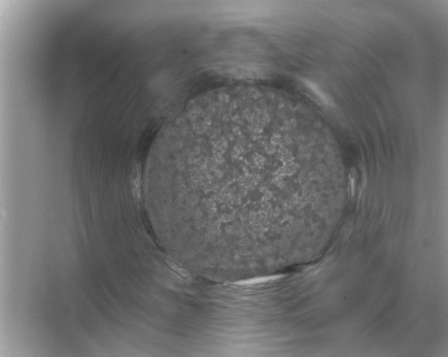 X0000070861251200606302037