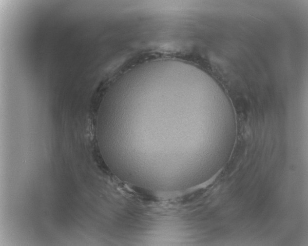 X0000070861253200606302037