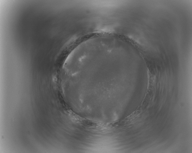 X0000070861254200606302037