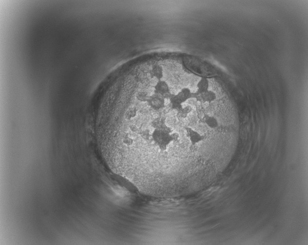 X0000070861255200606302037