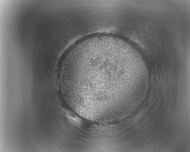 X0000070861256200606302037