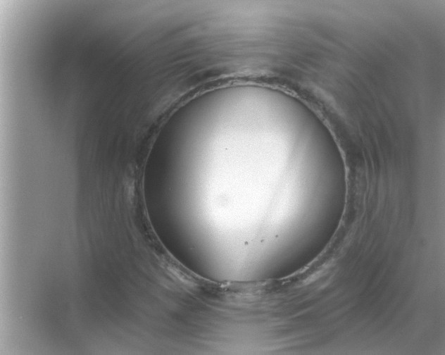 X0000070861257200606302037