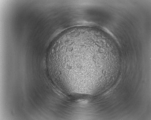 X0000070861259200606302037