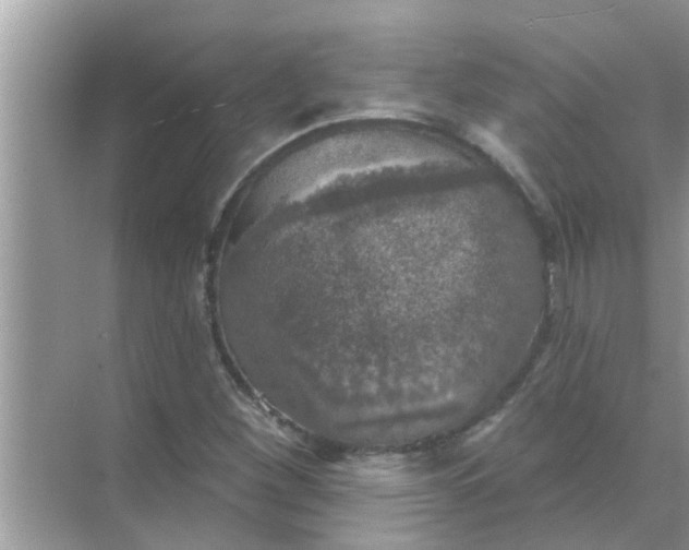 X0000070861260200606302037