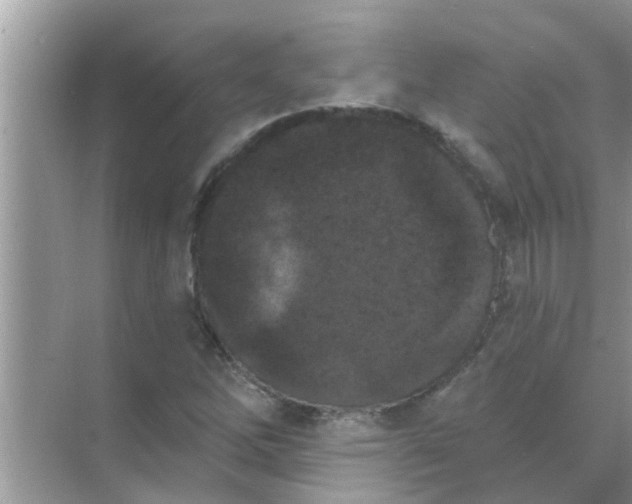 X0000070861262200606302037