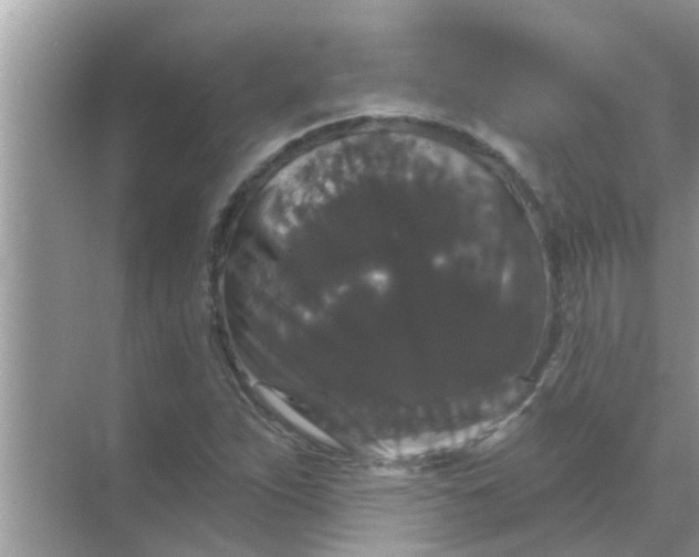 X0000070861263200606302037