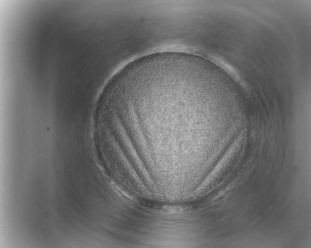 X0000070861264200606302037