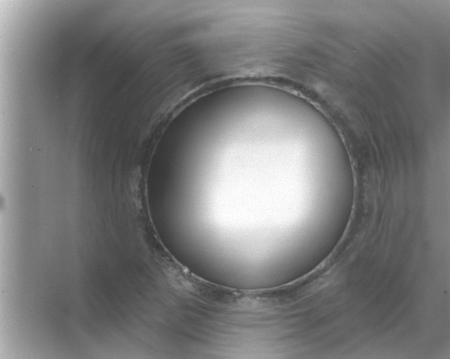 X0000070861265200606302037